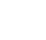 Minecraft store icon
